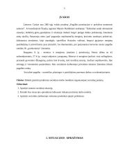 Socialinio darbo modelių taikymas organizuojant socialinę paramą 2 puslapis