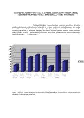 Socialinio darbuotojo profesinė veikla ir funkcijos dirbant su rizikos grupės vaikais nepilnamečių reikalų tarnyboje 2 puslapis