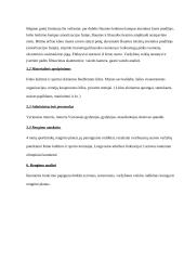 Sprinterių rengimo tikslinė programa 7 puslapis