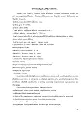 Stiklo dirbinių vežimo technologinio proceso pasirinktu maršrutu planas 15 puslapis