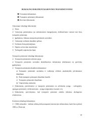 Stiklo dirbinių vežimo technologinio proceso pasirinktu maršrutu planas 17 puslapis