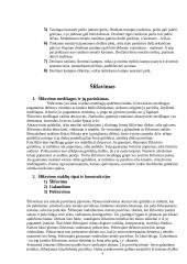 Tekinimas. Drožimas. Šlifavimas. Frezavimas. Liejininkystė 4 puslapis