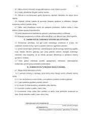 Vasarinių rapsų auginimo technologijos darbų sauga: UAB "Rapsvita" 13 puslapis