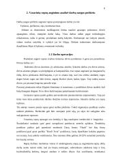 Vasarinių rapsų auginimo technologijos darbų sauga: UAB "Rapsvita" 8 puslapis