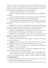 Verslo moters apranga ir aksesuarai darbe 9 puslapis