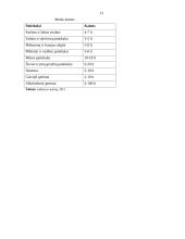 Verslo planas: kavinė-baras "Vishtas" 12 puslapis