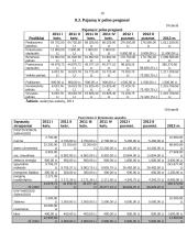 Verslo planas: kavinė-baras "Vishtas" 18 puslapis