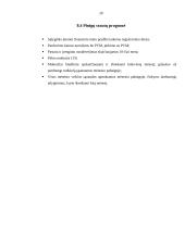 Verslo planas: kavinė-baras "Vishtas" 19 puslapis