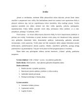 Verslo planas: kavinė-baras "Vishtas" 4 puslapis