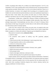 Verslo planas: telekomunikacijos parduotuvė UAB "Smega" 3 puslapis