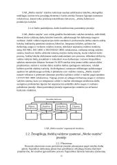 Žmogiškųjų išteklių valdymo ypatumai: UAB "Merko statyba" 12 puslapis