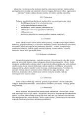 Žmogiškųjų išteklių valdymo ypatumai: UAB "Merko statyba" 13 puslapis