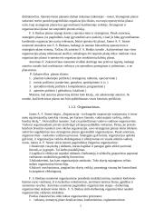 Žmogiškųjų išteklių valdymo ypatumai: UAB "Merko statyba" 5 puslapis