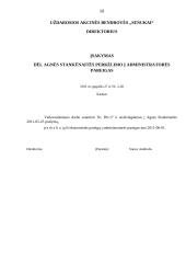 Charakteristika ir veiklos dokumentai: UAB "Senukai" 11 puslapis