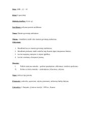 Išplėstinis istorijos pamokos planas: Masinis gyventojų naikinimas 2 puslapis