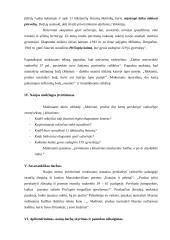 Išplėstinis istorijos pamokos planas: Masinis gyventojų naikinimas 4 puslapis