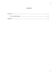 Savaitinis auklėtojos veiklos planavimas, vaiko veiklos analizė 2 puslapis