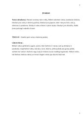 Savaitinis auklėtojos veiklos planavimas, vaiko veiklos analizė 3 puslapis