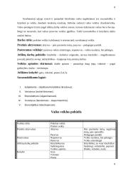 Savaitinis auklėtojos veiklos planavimas, vaiko veiklos analizė 8 puslapis