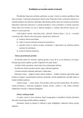 Šuolininko su kartimi metinė treniruotė