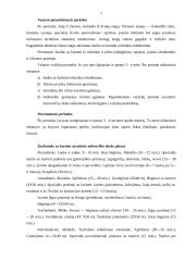 Šuolininko su kartimi metinė treniruotė 2 puslapis