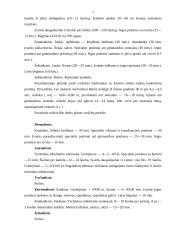 Šuolininko su kartimi metinė treniruotė 3 puslapis