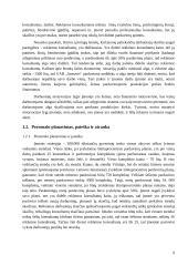 Įmonės personalo valdymo analizė: prekyba kosmetika, parfumerija ir kūno priežiūros priemonėmis UAB "Armavis" 9 puslapis