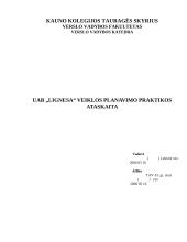 Įmonės veiklos planavimo praktikos ataskaita: prekyba žuvimi UAB "Lignesa"