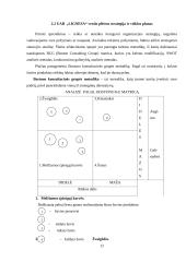 Įmonės veiklos planavimo praktikos ataskaita: prekyba žuvimi UAB "Lignesa" 12 puslapis
