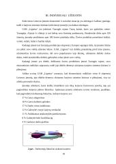 Įmonės veiklos planavimo praktikos ataskaita: prekyba žuvimi UAB "Lignesa" 18 puslapis