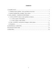 Įmonės veiklos planavimo praktikos ataskaita: prekyba žuvimi UAB "Lignesa" 3 puslapis