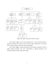 Įmonės veiklos planavimo praktikos ataskaita: prekyba žuvimi UAB "Lignesa" 7 puslapis