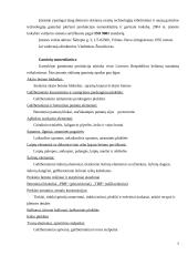 Pažintinė praktika: AB "Gelžbetoninių konstrukcijų gamykla" 5 puslapis