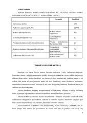 Pažintinė praktika: AB "Gelžbetoninių konstrukcijų gamykla" 6 puslapis