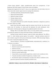 Pažintinė praktika: AB "Gelžbetoninių konstrukcijų gamykla" 7 puslapis