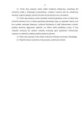 Pažintinės praktikos ataskaita: Panevėžio apskrities valstybinė mokesčių inspekcija (AVMI) 11 puslapis