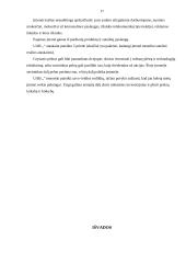 Praktikos ataskaita įmonėje: medienos, plastikinių, metalo gaminių montavimas bei prekyba 17 puslapis