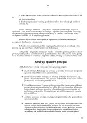 Praktikos ataskaita: chemijos produktų gamyba UAB "Koslita" 13 puslapis