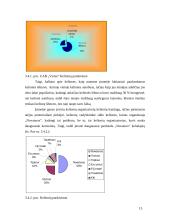 Praktikos ataskaita: kelionių agentūra UAB "Vistus" 13 puslapis