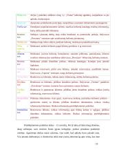 Praktikos ataskaita: kelionių agentūra UAB "Vistus" 19 puslapis