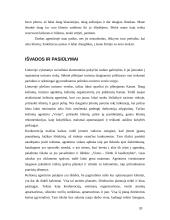 Praktikos ataskaita: kelionių agentūra UAB "Vistus" 20 puslapis