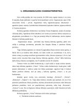 Praktikos ataskaita: kelionių agentūra UAB "Vistus" 3 puslapis