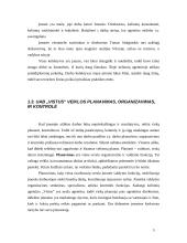 Praktikos ataskaita: kelionių agentūra UAB "Vistus" 5 puslapis