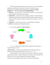 Praktikos ataskaita: kelionių agentūra UAB "Vistus" 6 puslapis