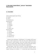 Praktikos ataskaita: kelionių agentūra UAB "Vistus" 9 puslapis