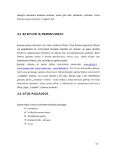 Praktikos ataskaita: kelionių agentūra UAB "Vistus" 10 puslapis