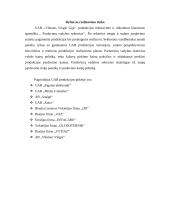 Profesinės veiklos praktikos ataskaita: detalių liejimas UAB "Vilniaus Vingio Gija" 9 puslapis
