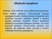 Gliukozės apykaitos reguliacija. Cukrinis diabetas 12 puslapis