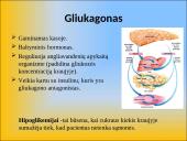 Gliukozės apykaitos reguliacija. Cukrinis diabetas 13 puslapis