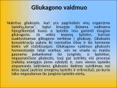 Gliukozės apykaitos reguliacija. Cukrinis diabetas 14 puslapis